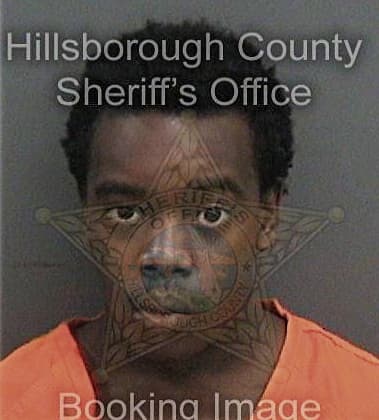 Joshua Simpson, - Hillsborough County, FL 