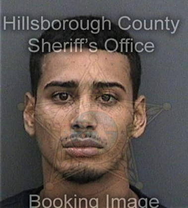 Gustavo Vargasacosta, - Hillsborough County, FL 