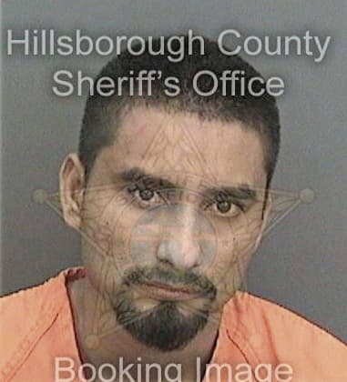 Emilio Velazcogarcia, - Hillsborough County, FL 