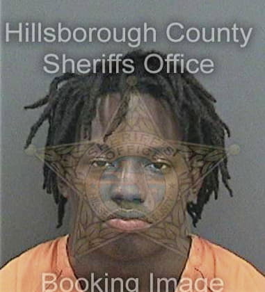 Joshua Williams, - Hillsborough County, FL 