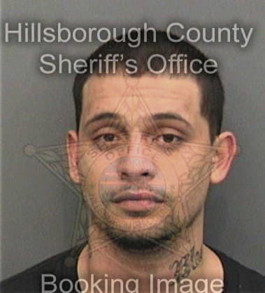 David Irons, - Hillsborough County, FL 