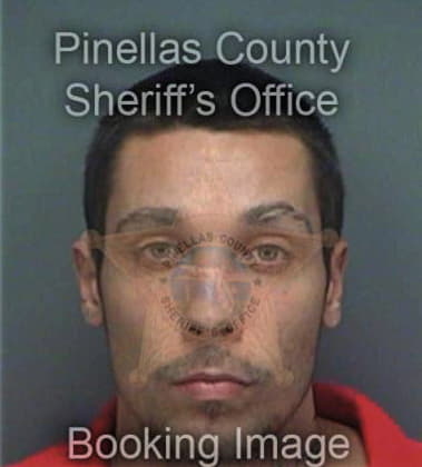 Brandon Lahaie, - Pinellas County, FL 