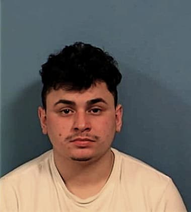 Elio Rosas-Gonzalez, - DuPage County, IL 