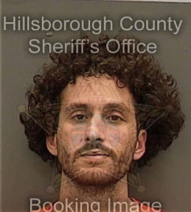 Michael St-Martin, - Hillsborough County, FL 