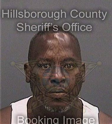 Leroy Washingtoniii, - Hillsborough County, FL 