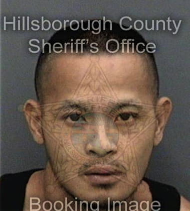 Paul Awa, - Hillsborough County, FL 