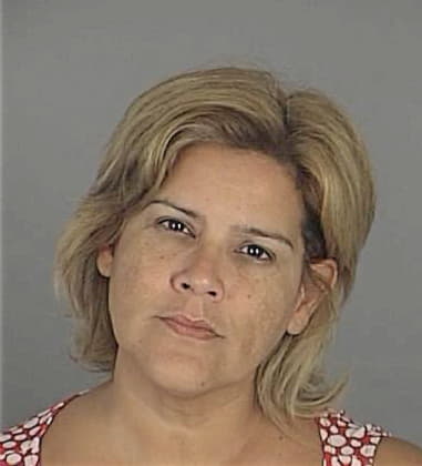 Awilda Mendez, - Pasco County, FL 