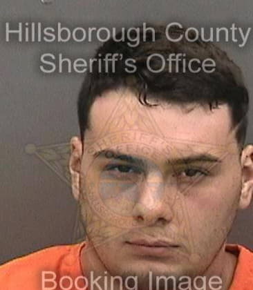 David Neiswonger, - Hillsborough County, FL 