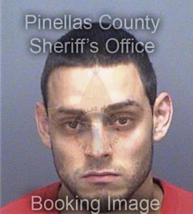 Michael Dassel, - Pinellas County, FL 