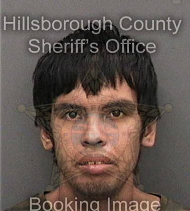 Alberto Diazfelicie, - Hillsborough County, FL 