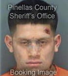 Pedro Hernandezsanchez, - Pinellas County, FL 