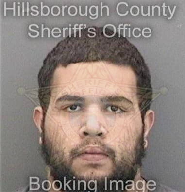 Thomas Pugliese, - Hillsborough County, FL 