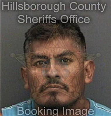 Timothy Shea, - Hillsborough County, FL 