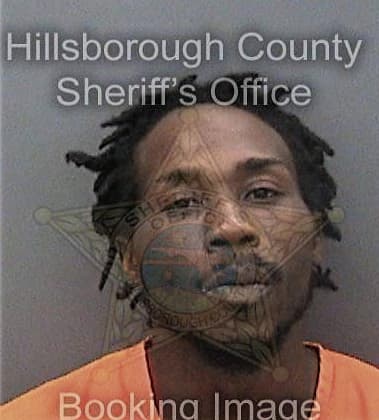 Michael Addison, - Hillsborough County, FL 