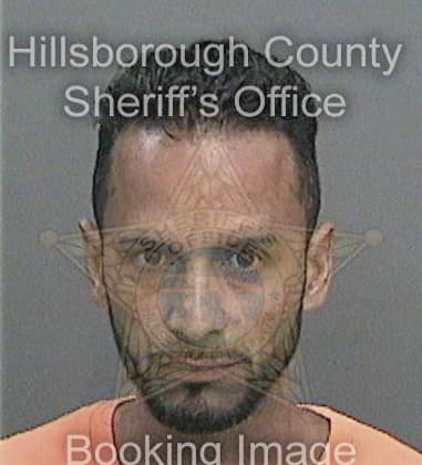 Sirree Brandon - Hillsborough County, FL 