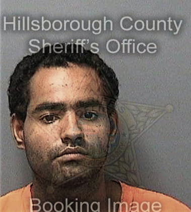 William Delrio, - Hillsborough County, FL 