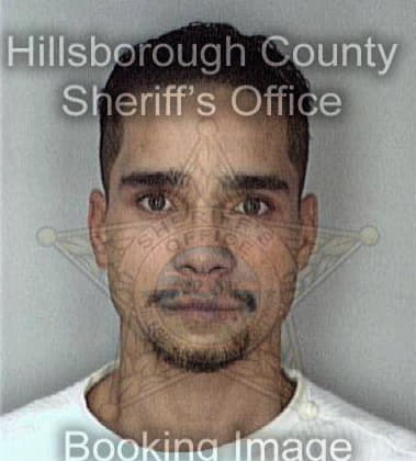 Hector Garcia, - Hillsborough County, FL 