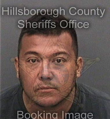 Jesus Vazquezguzman, - Hillsborough County, FL 