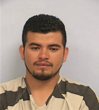 Raul Badillo-Toledo, - Travis County, TX 