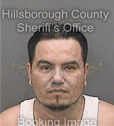 Alexander Davis, - Hillsborough County, FL 