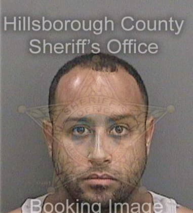 Jeffrey Guagliardo, - Hillsborough County, FL 