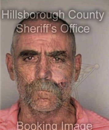 William Mancini, - Hillsborough County, FL 