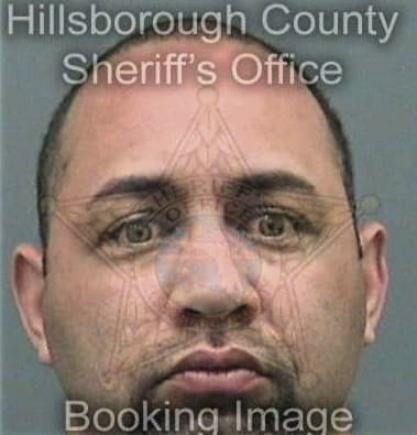 Jesus Martineznavarrete, - Hillsborough County, FL 