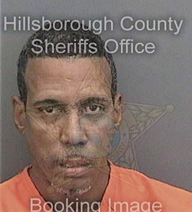 David Metheny - Hillsborough County, FL 