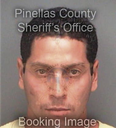 Henry Morales, - Pinellas County, FL 