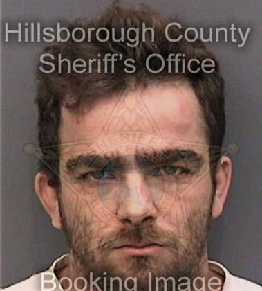 Franklin Villalobosescalante, - Hillsborough County, FL 