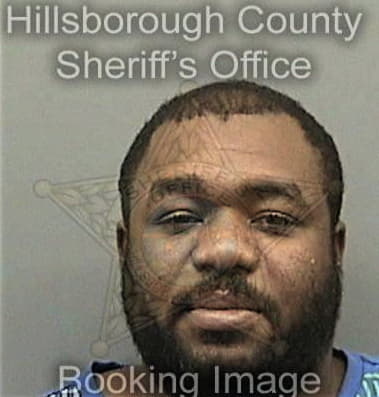 Aaron Wesley, - Hillsborough County, FL 