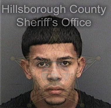 Sammy Concepcion, - Hillsborough County, FL 