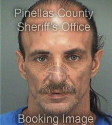 Edwuin Hernandez, - Pinellas County, FL 