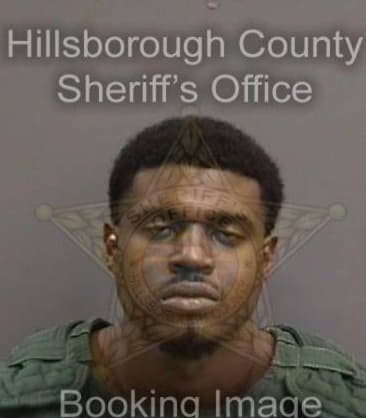 Michael Johnson, - Hillsborough County, FL 