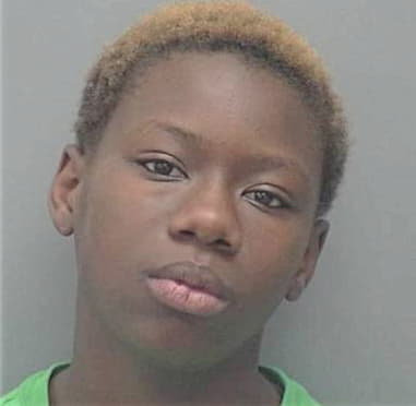 Tomenia Jones, - Lee County, FL 