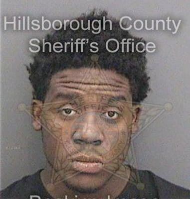 Anthony Wilson, - Hillsborough County, FL 