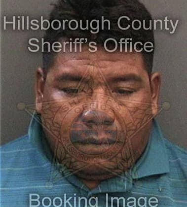 Jason Cardona, - Hillsborough County, FL 