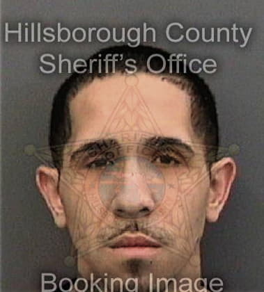 Jose Carrerareducindo, - Hillsborough County, FL 