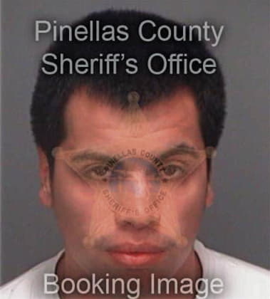 Juan Cozvicente, - Pinellas County, FL 