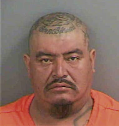 Cesar Flores, - Collier County, FL 