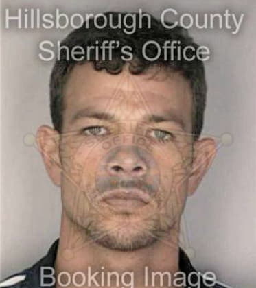 Max Mattoon - Hillsborough County, FL 