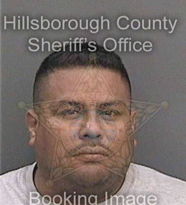 Jeffrey Powell, - Hillsborough County, FL 