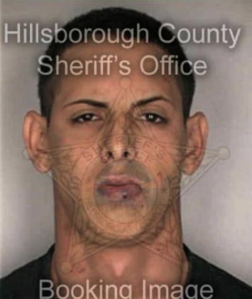 Aaron Syrkus, - Hillsborough County, FL 