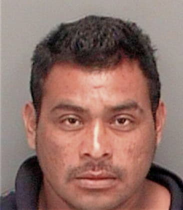 Luis Trejo, - Pinellas County, FL 