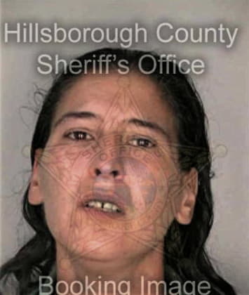 Dana Brosseau, - Hillsborough County, FL 