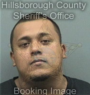 Matthew Dallas, - Hillsborough County, FL 