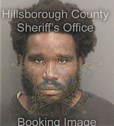 Raheem Davis, - Hillsborough County, FL 