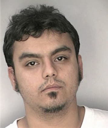 Luis Delgado, - Hillsborough County, FL 