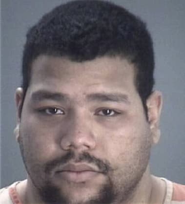 Russel Hermida-Romero, - Pasco County, FL 