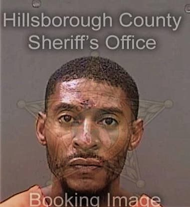 Reginald Robinson, - Hillsborough County, FL 